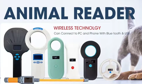 What To Ask Before You Compare Quotes What To Ask Before You Compare Quotes